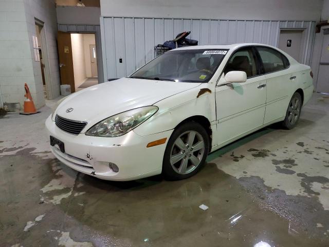 LEXUS ES 330 2005 with VIN JTHBA30G655086072 - Photo from auction