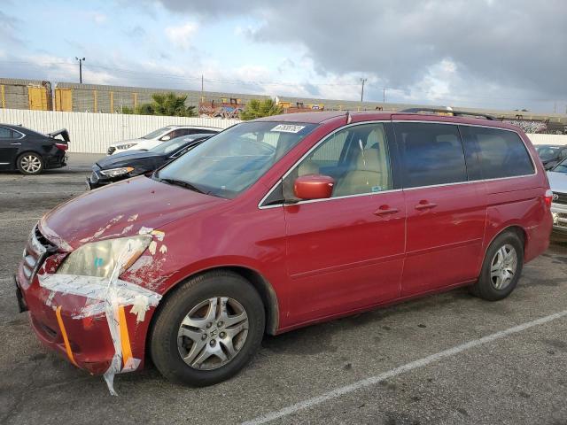 HONDA ODYSSEY EX 2005 with VIN 5FNRL38475B423786 - Photo from auction