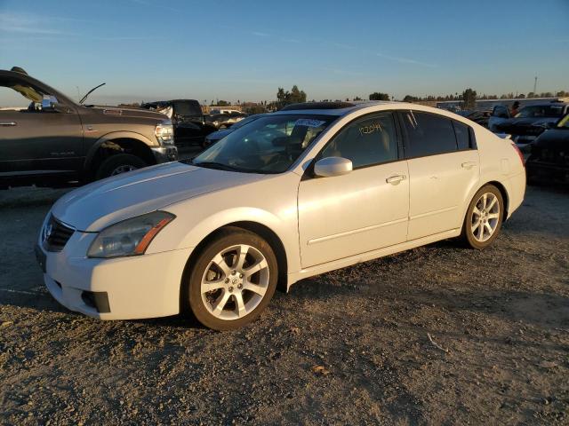 NISSAN MAXIMA SE 2008 with VIN 1N4BA41E18C817839 - Photo from auction