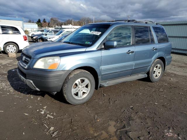 HONDA PILOT EXL 2005 with VIN 5FNYF18665B022044 - Photo from auction