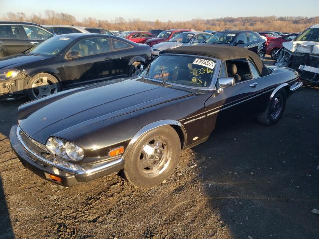 JAGUAR XJS 1987 with VIN SAJNV5849HC135761 - Photo from auction