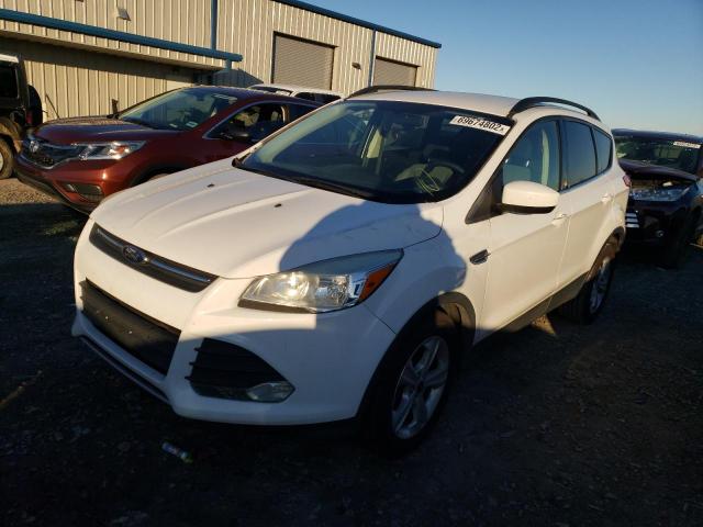 FORD ESCAPE SE 2014 with VIN 1FMCU0G96EUD38410 - Photo from auction
