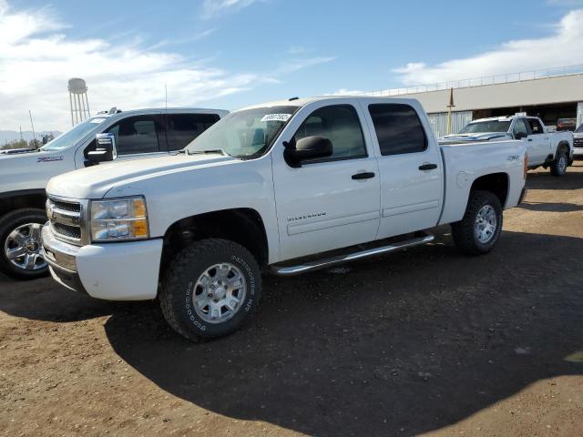CHEVROLET SILVERADO 2010 with VIN 3GCXKUEJ2AG219458 - Photo from auction