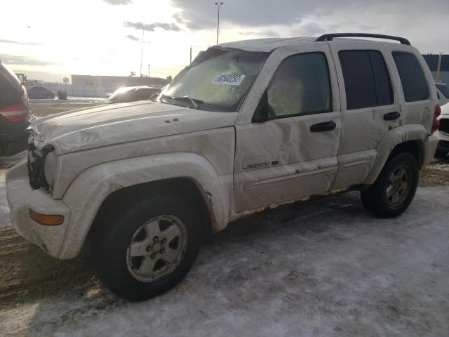 JEEP LIBERTY LI 2003 with VIN 1J4GL58K73W583820 - Photo from auction