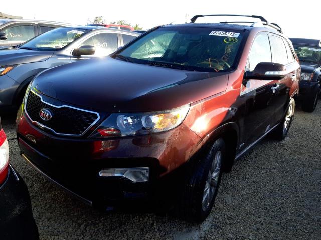 KIA SORENTO SX 2012 with VIN 5XYKWDA2XCG266073 - Photo from auction