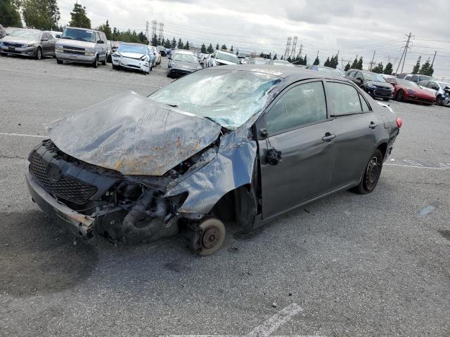 TOYOTA COROLLA BA 2009 with VIN JTDBL40EX99073954 - Photo from auction