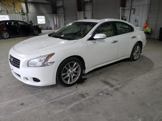 NISSAN MAXIMA S 2009 with VIN 1N4AA51E39C800396 - Photo from auction