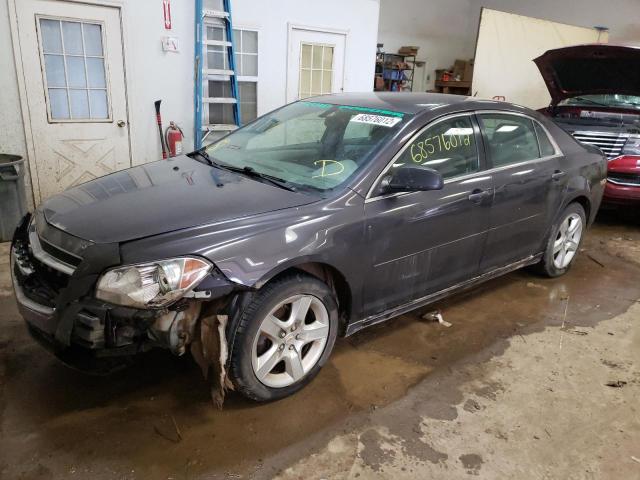 CHEVROLET MALIBU LS 2010 with VIN 1G1ZB5E00AF255617 - Photo from auction