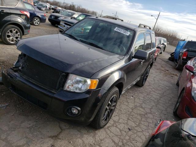 FORD ESCAPE XLT 2010 with VIN 1FMCU0DG9AKB43703 - Photo from auction