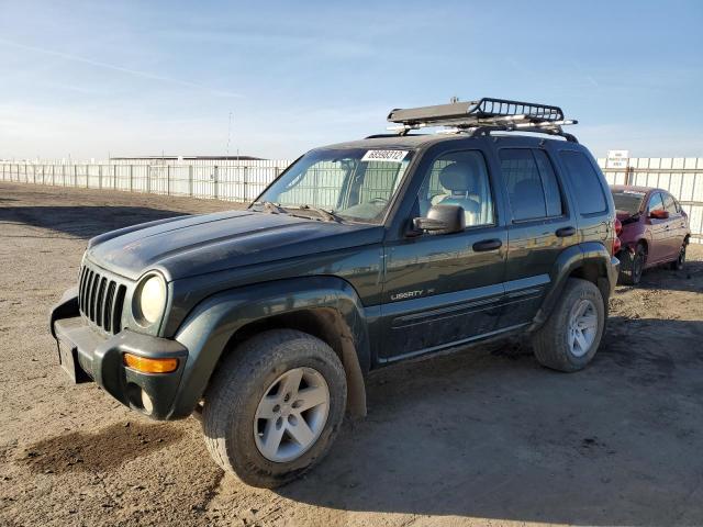 JEEP LIBERTY LI 2002 with VIN 1J8GL58KX2W218898 - Photo from auction