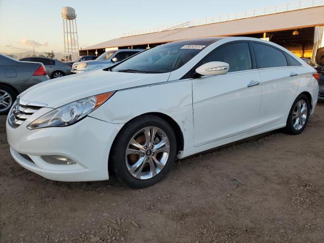 HYUNDAI SONATA SE 2013 with VIN 5NPEC4AC0DH529597 - Photo from auction