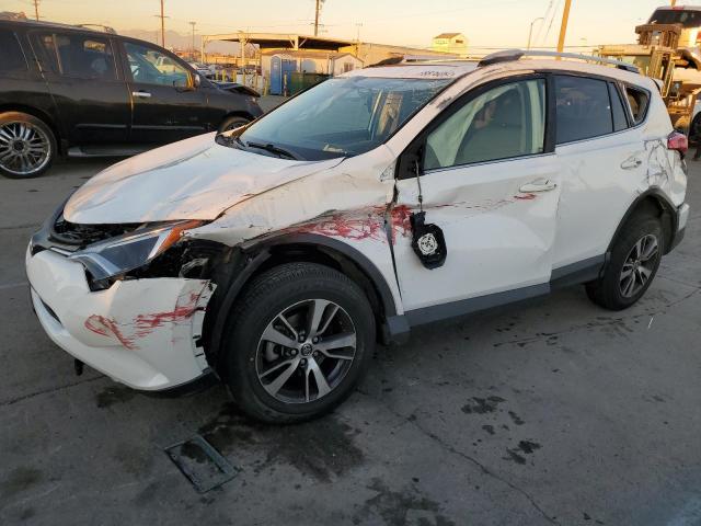 TOYOTA RAV4 XLE 2016 with VIN JTMWFREV8GD087201 - Photo from auction