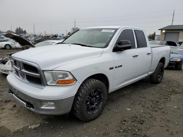 DODGE RAM 1500 2010 with VIN 1D7RV1GT7AS147457 - Photo from auction