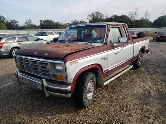 FORD F150 1981 with VIN 1FTEX15E1BKA08305 - Photo from auction