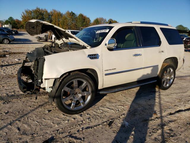 CADILLAC ESCALADE L 2010 with VIN 1GYUKBEF5AR147880 - Photo from auction