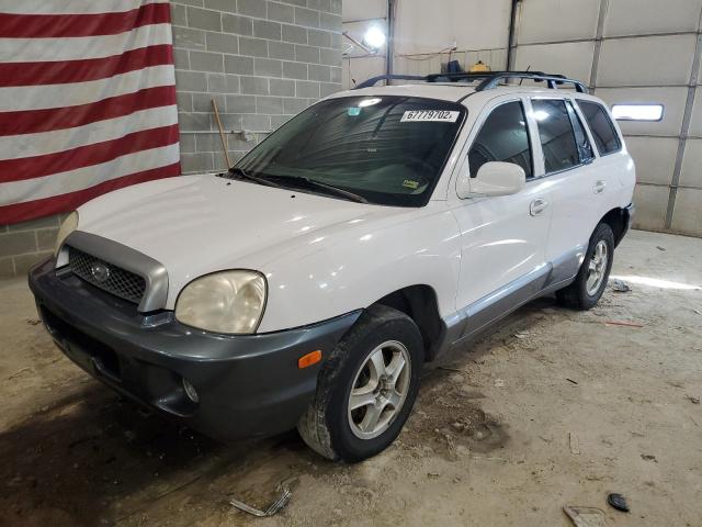 HYUNDAI SANTA FE G 2004 with VIN KM8SC13E64U764345 - Photo from auction