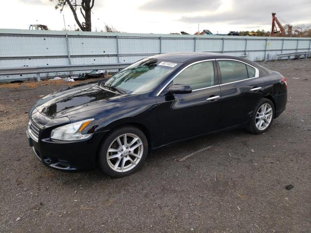 NISSAN MAXIMA S 2009 with VIN 1N4AA51E99C848484 - Photo from auction