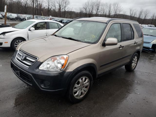 HONDA CR-V EX 2006 with VIN JHLRD78806C005269 - Photo from auction