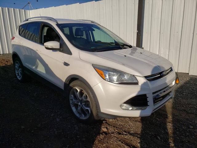 Photo 4 from auction – 2014 FORD ESCAPE TIT with VIN 1FMCU9JX4EUA20541