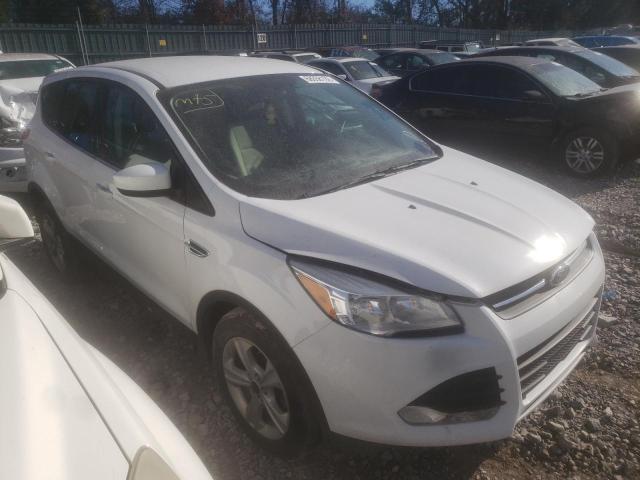 Photo 4 from auction – 2014 FORD ESCAPE SE with VIN 1FMCU0GX9EUB60412
