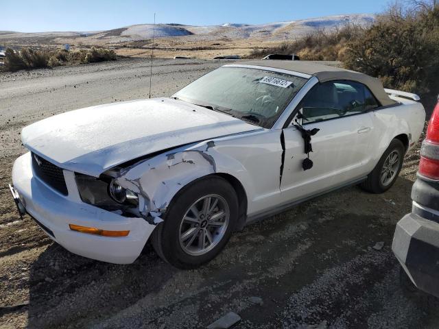 FORD MUSTANG 2005 with VIN 1ZVHT84N555232020 - Photo from auction