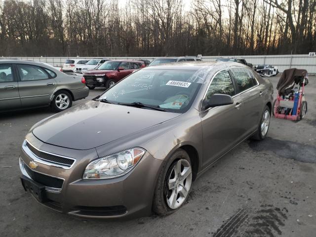 CHEVROLET MALIBU LS 2010 with VIN 1G1ZB5EB2AF224533 - Photo from auction