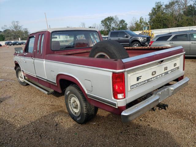 Photo 2 from auction – 1981 FORD F150 with VIN 1FTEX15E1BKA08305