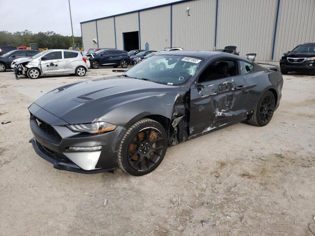 FORD MUSTANG 2019 with VIN 1FA6P8THXK5167242 - Photo from auction