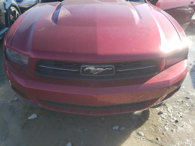 Photo 11 from auction – 2012 FORD MUSTANG with VIN 1ZVBP8EM6C5269641