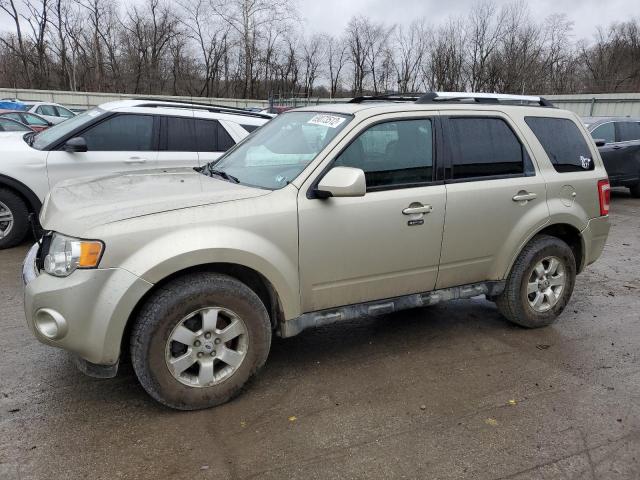 FORD ESCAPE LIM 2010 with VIN 1FMCU9EGXAKB20031 - Photo from auction