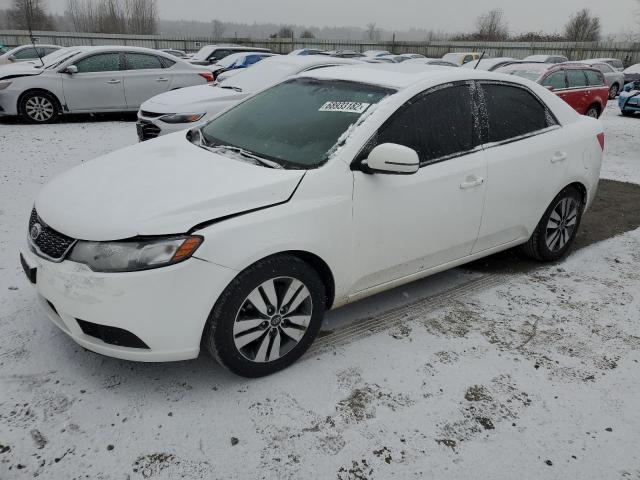 KIA FORTE EX 2013 with VIN KNAFU4A2XD5662387 - Photo from auction