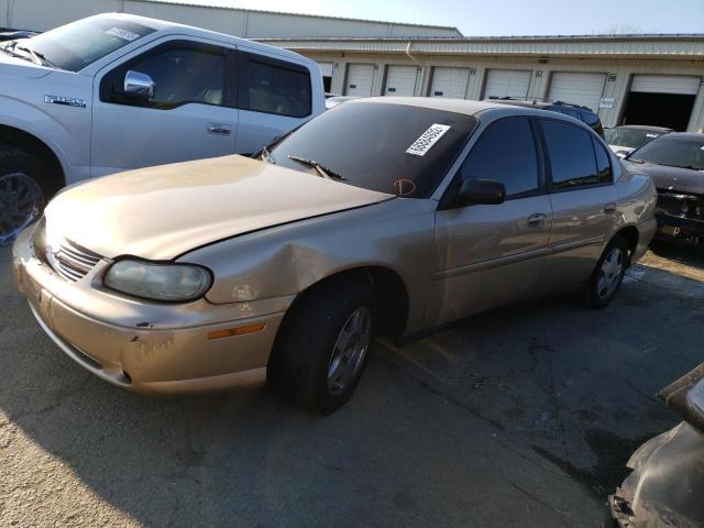 CHEVROLET MALIBU 2002 with VIN 1G1ND52J72M532198 - Photo from auction