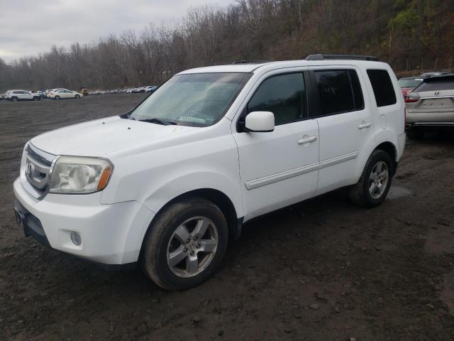HONDA PILOT EXL 2011 with VIN 5FNYF4H57BB012028 - Photo from auction