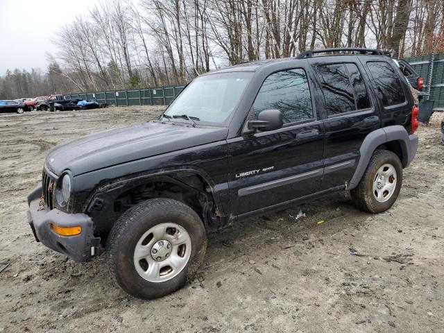 JEEP LIBERTY SP 2003 with VIN 1J4GL48K03W661476 - Photo from auction