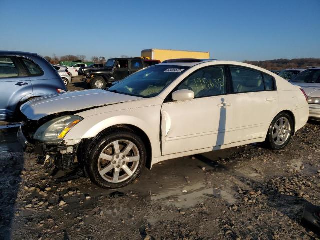 NISSAN MAXIMA SE 2004 with VIN 1N4BA41E34C871024 - Photo from auction