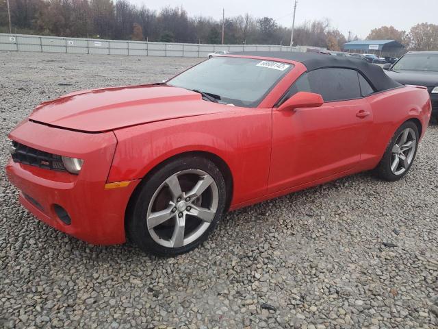 CHEVROLET CAMARO LT 2011 with VIN 2G1FC3DD4B9211137 - Photo from auction