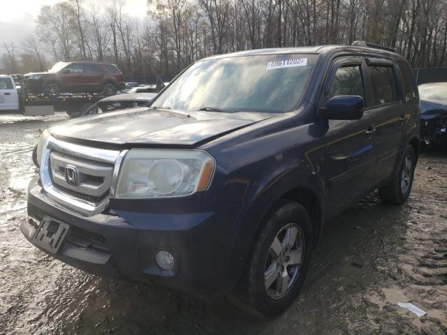 HONDA PILOT EXL 2011 with VIN 5FNYF4H65BB040242 - Photo from auction