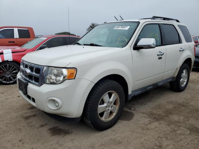 FORD ESCAPE 2011 with VIN 1FMCU0D74BKC61207 - Photo from auction