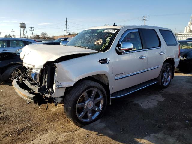 CADILLAC ESCALADE 2010 with VIN 1GYUKAEF7AR140259 - Photo from auction