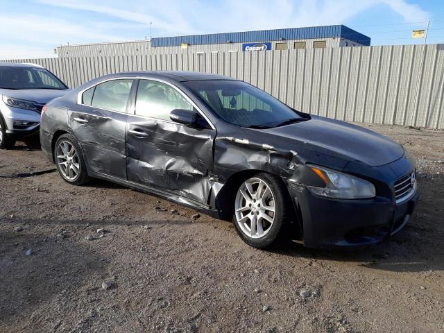 Photo 4 from auction – 2009 NISSAN MAXIMA S with VIN 1N4AA51EX9C854181