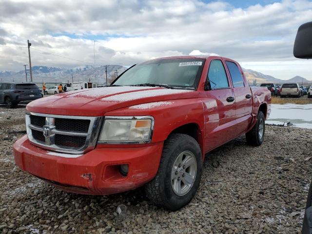 DODGE DAKOTA QUA 2008 with VIN 1D7HW48N48S567942 - Photo from auction