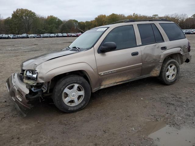 CHEVROLET TRAILBLAZE 2002 with VIN 1GNDT13S622463366 - Photo from auction