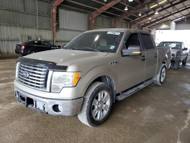 Photo 1 from auction – 2010 FORD F150 SUPER with VIN 1FTFW1CV1AFD03809