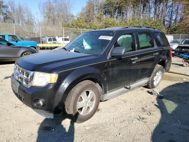 FORD ESCAPE XLT 2011 with VIN 1FMCU9DGXBKB17584 - Photo from auction