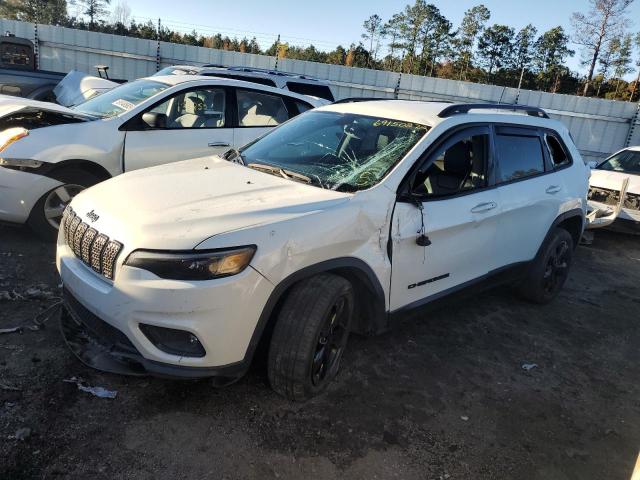 JEEP CHEROKEE L 2019 with VIN 1C4PJLLX7KD302676 - Photo from auction
