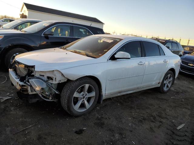 CHEVROLET MALIBU 1LT 2011 with VIN 1G1ZC5E13BF277151 - Photo from auction