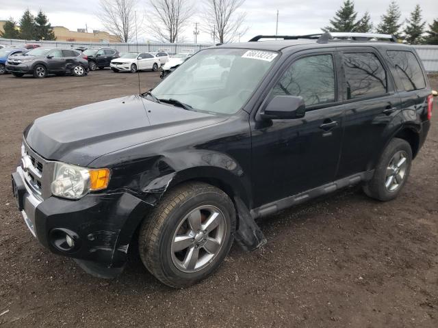 2010 Ford Escape