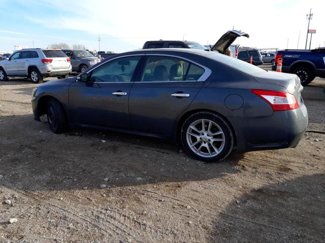 Photo 2 from auction – 2009 NISSAN MAXIMA S with VIN 1N4AA51EX9C854181