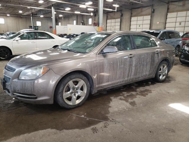 CHEVROLET MALIBU 2010 with VIN 1G1ZC5E03AF192168 - Photo from auction