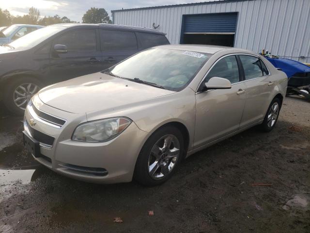 CHEVROLET MALIBU 1LT 2010 with VIN 1G1ZC5EB8AF162889 - Photo from auction